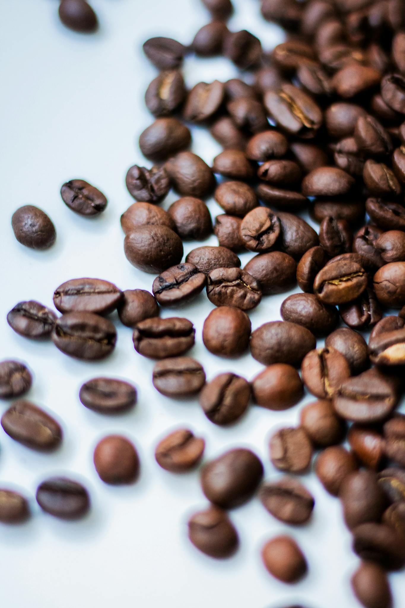 Detailed close-up of freshly roasted coffee beans on a light surface, showcasing texture.